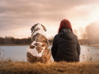 まっすぐでゆるぎない無償の愛。忠犬として世界にその名が知られている15の犬種