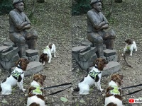 これを投げて！彫像に遊んでほしくて木の棒を何度も渡そうとする犬