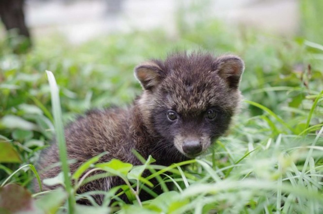 (写真はみなみなみなさん提供)
