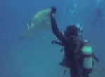 これは痛そう！　サメのお腹に大きな“◯◯◯”が…