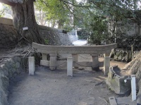 黒神埋没鳥居(Tzuhsun Hsuさん撮影、Flickrより)