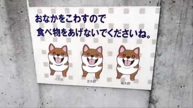 食べ物をあげないで