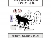 かわいい...（AKRさんのツイートより）
