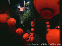 株式会社ニジゲンノモリのプレスリリース画像