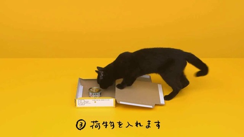 宅急便コンパクト