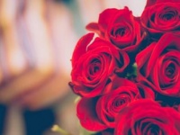 指輪以外で。彼女が喜ぶプロポーズのプレゼント