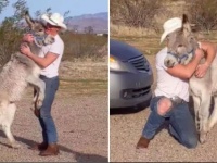 ロバが犬化。育児放棄されたロバを保護し、犬と共に育てたところ犬みたいになっちゃった（アメリカ）