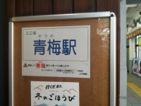 Taiki（＠boxtutimesi