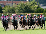 【誰も知らない職業案内】競馬必勝サポートサイト運営