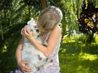 祖父の家の近くで出会った犬との別れがつらくて泣きじゃくる孫たち。そこから始まるおじいさんマジック