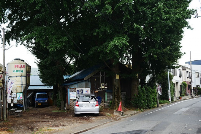 koizumi6