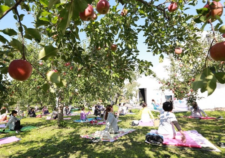 津軽美人プロジェクトのプレスリリース画像