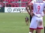 【珍事】サッカーの試合にワンコが乱入！　最後は…