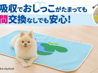 株式会社RICOのプレスリリース画像