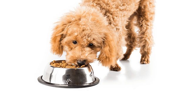 「Doctors Me（ドクターズミー）」コラム画像