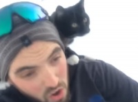 飼い主の肩に乗って一緒にソリ滑りをするネコの勇敢な姿！