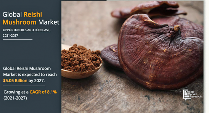 株式会社グローバルインフォメーションのプレスリリース画像