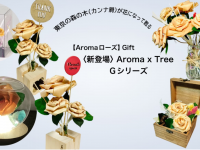 Lasys&amp;カンパニー合同会社のプレスリリース画像