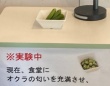 東大学食で〝謎の実験〟実施され18万人困惑　目的は何？主催者に聞く