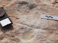 現生人類が残したものを見るのは感慨深い。約12万年前の人類の足跡が発見される（サウジアラビア）