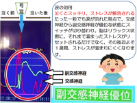 涙と旅カフェあかねのプレスリリース画像