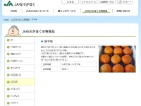 JA石川かほくの「紋平柿」紹介ページ