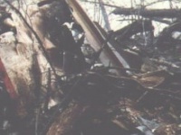 画像はイメージです