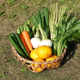 画像はイメージです