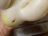 80円で手に入れた〝新しい左手〟に10万人興奮　地獄先生ぬ～べ～公式も「#ぬーべーで見た」