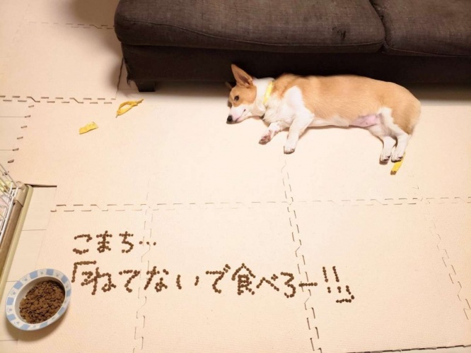 打つ手がなくなり...（画像は再掲）