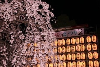 パンダのイラストと桜を一緒にパシャリ（2018年3月24日撮影。以下同）