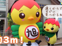 株式会社アドプリントのプレスリリース画像