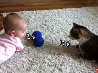 キャとニャで通じ合う、そういう仲の猫と赤ちゃん（要音声）