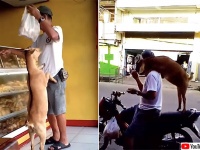 ヤギっ子かわえぇ！お父さんとバイクでパン屋に行くのが日課、ご褒美のパンがうれしくて