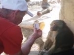 来場者の男性が行った“◯◯◯◯”に、動物園のヒヒが超仰天