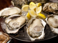 Oysterbar&amp;Wine BELONのプレスリリース画像