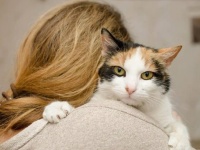 大家にペットを飼うことを拒否されないよう、猫と結婚した女性