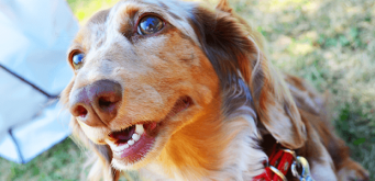 「Doctors Me（ドクターズミー）」コラム画像