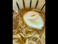 なんかいる（写真ははるかごんさんのツイートより）
