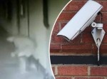 イギリスで“怪人脱糞男”姿が激写される…