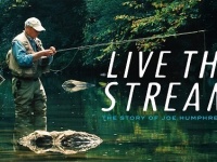 特定非営利活動法人イマジンのプレスリリース画像