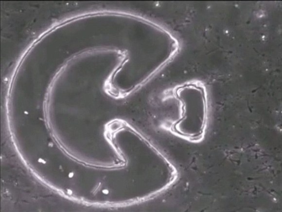 1_e1