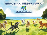 みなとみらいPRセンターのプレスリリース画像