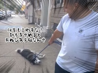 ハスキー、またお前かシリーズ。散歩を止めると動力スイッチが切れるシステムが内蔵されているようだ。