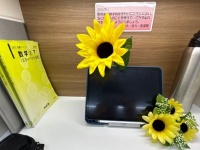 浪人生が考えた〝最大限に夏を楽しむ方法〟に8.5万人感心　「サイコーじゃん」「モチベめっちゃ上がりそう」