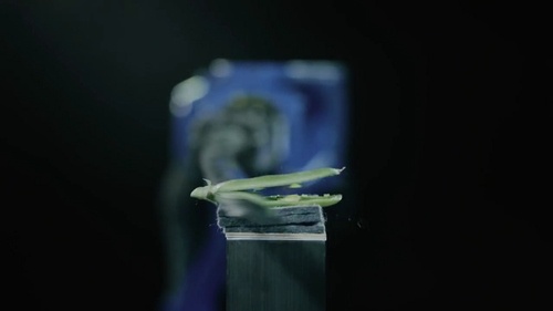 安川電機の居合術ロボット