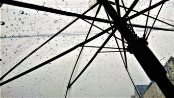 「娘と散歩中、雨に降られた私に傘を貸してくれた老夫婦。後で玄関に返しておくと『ボロ傘やったとに！』」（長崎県・30代女性）