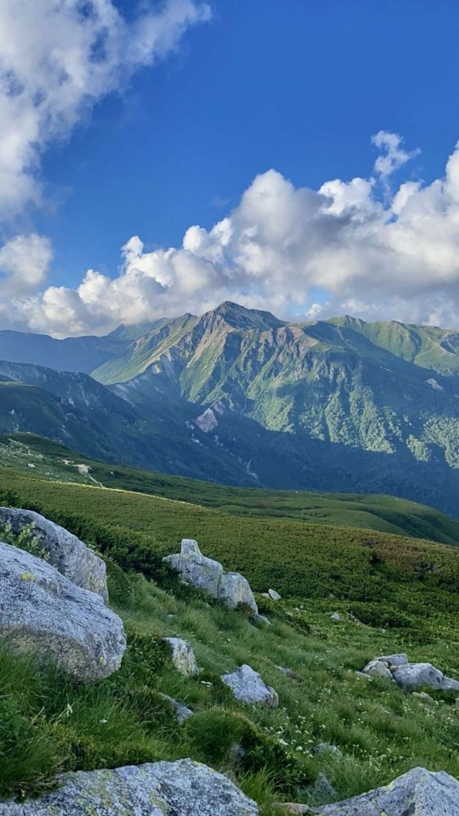 「れん」（＠xRENZAURx）さんの投稿より、再掲