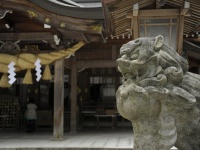 白山比咩神社（Bong Gritさん撮影、flickrより）