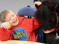 難病の少年を助けるために、介護動物として起用されたミニチュアホース